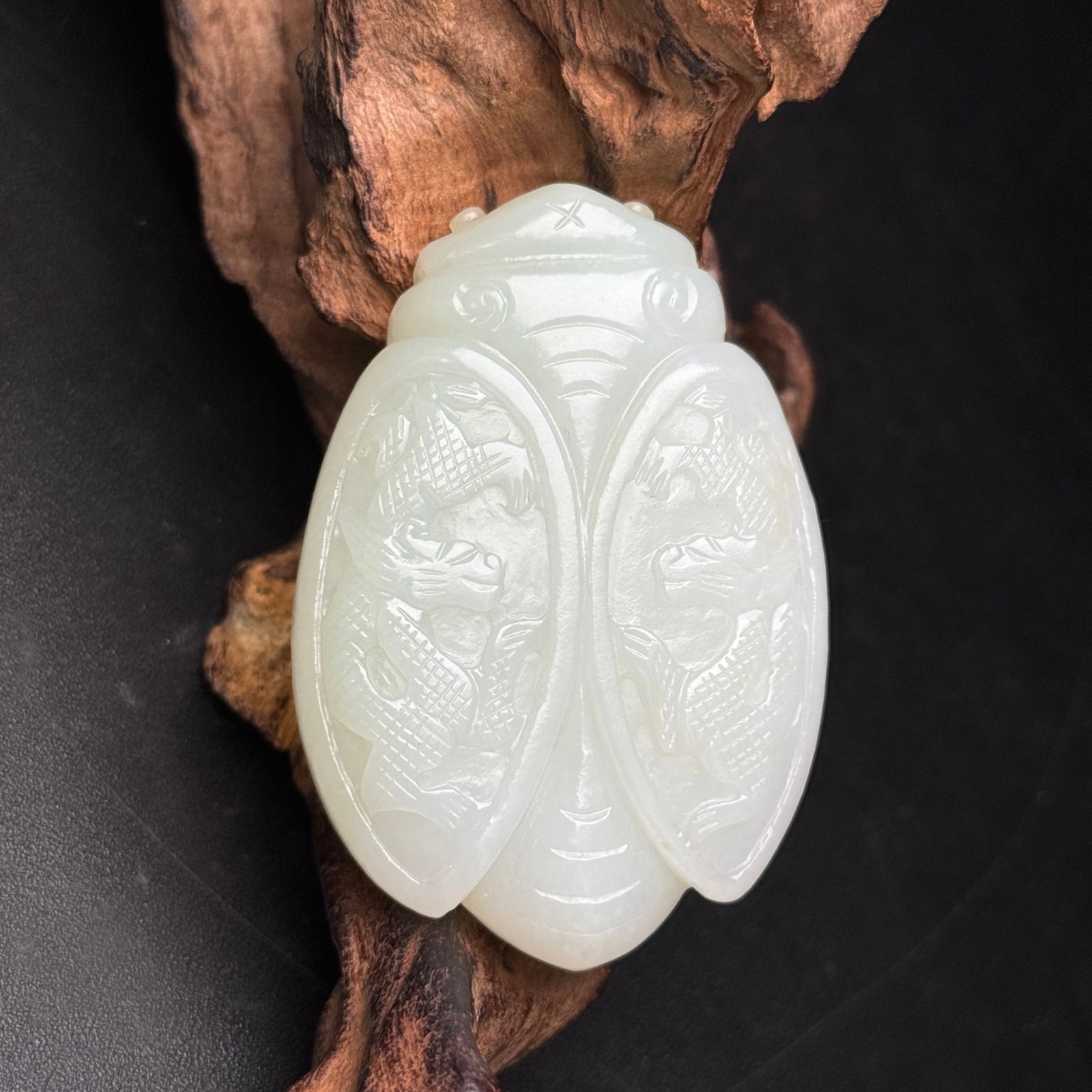 An Exquisite White Jade Dragon Pattern Cicada Pendant: An Exquisite White Jade Dragon Pattern Cicada Pendant,Qing Dynasty,China,Size:63mmx44mmx12mm,Weight:59g 白玉龙纹蝉挂件,中国清代