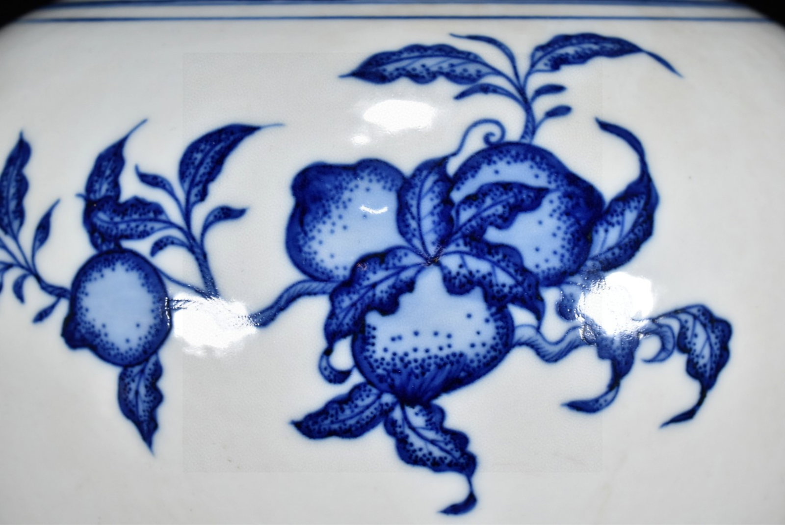 A Rare Blue and White Fruit Pattern Vase - 5