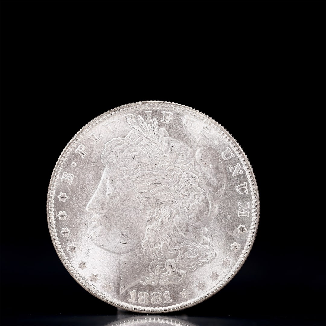 USA Morgan Dollar 1881 Coin: Obv: profile bust with date below and E PLURIBUS UNUM legend and stars around. Rev: eagle with In God we trust above within wreath with UNITED STATES OF AMERICA ONE DOLLAR legend. IN GOD WE TRUST / LI