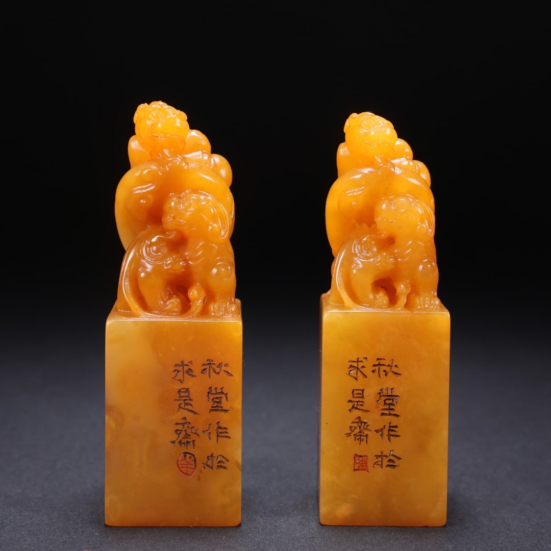 An Exquisite Tianhuang Stone Auspicious Beast Seal (1 of 9)