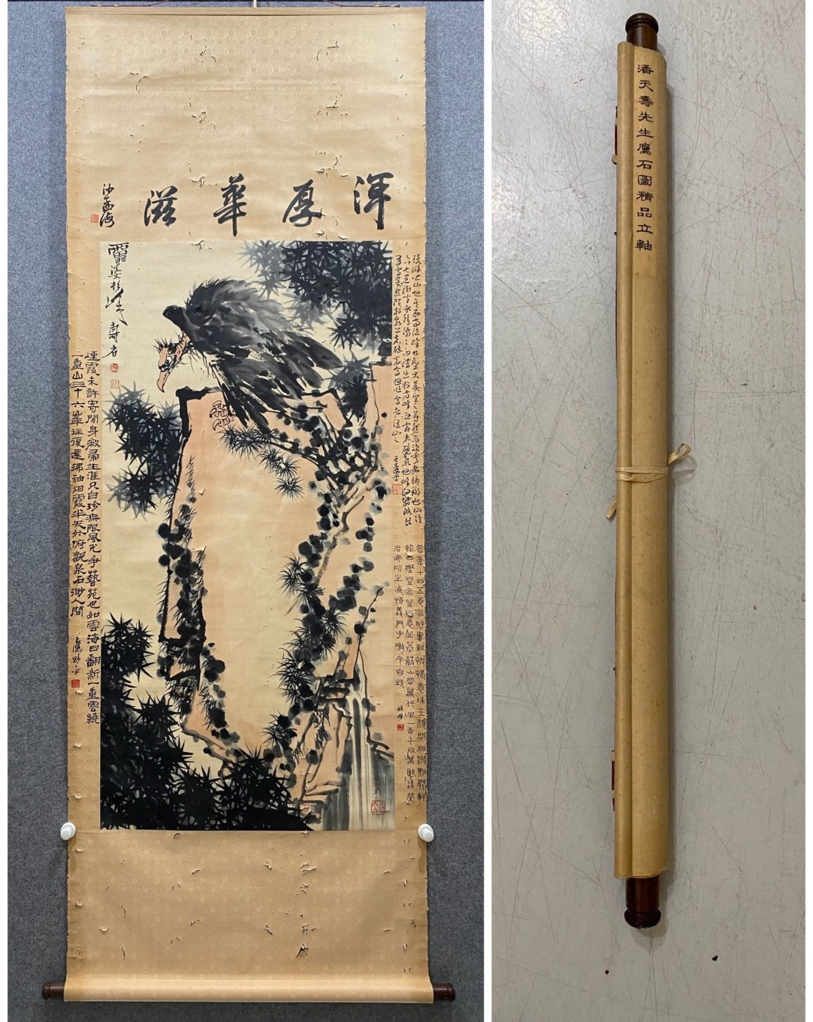 A Chinese Vertical Scroll Ink Painting of Eagle on Paper: A Chinese Vertical Scroll Ink Painting of Eagle on Paper,Pan Tianshou,Size:52.4inx26in 一幅中国水墨鹰画立轴,潘天寿