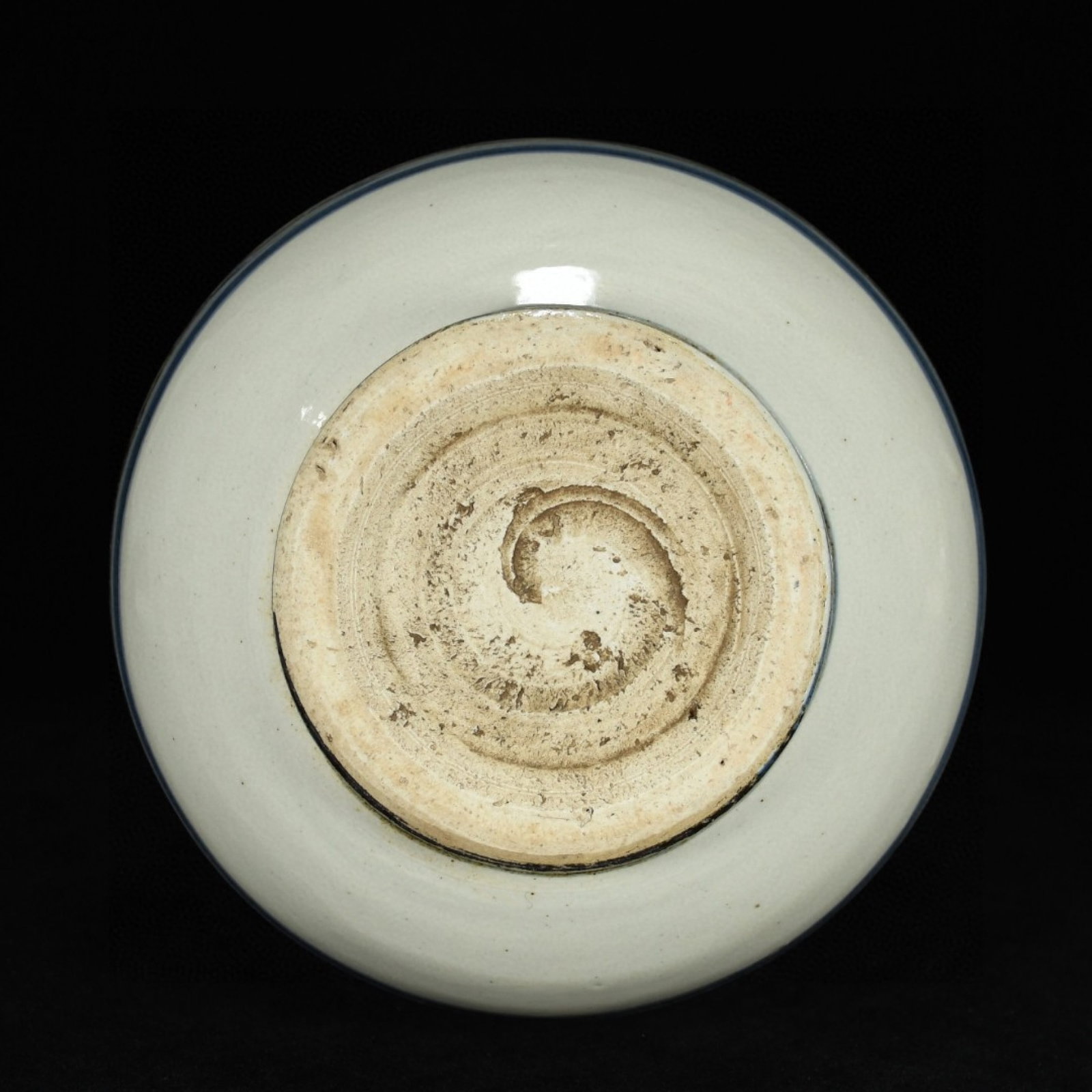 A Rare Biscuit Fish Pattern Double-Ears Vase - 9