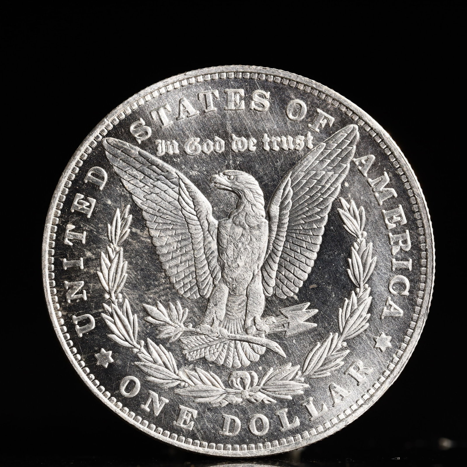 USA Morgan Dollar 1895 Coin - 2