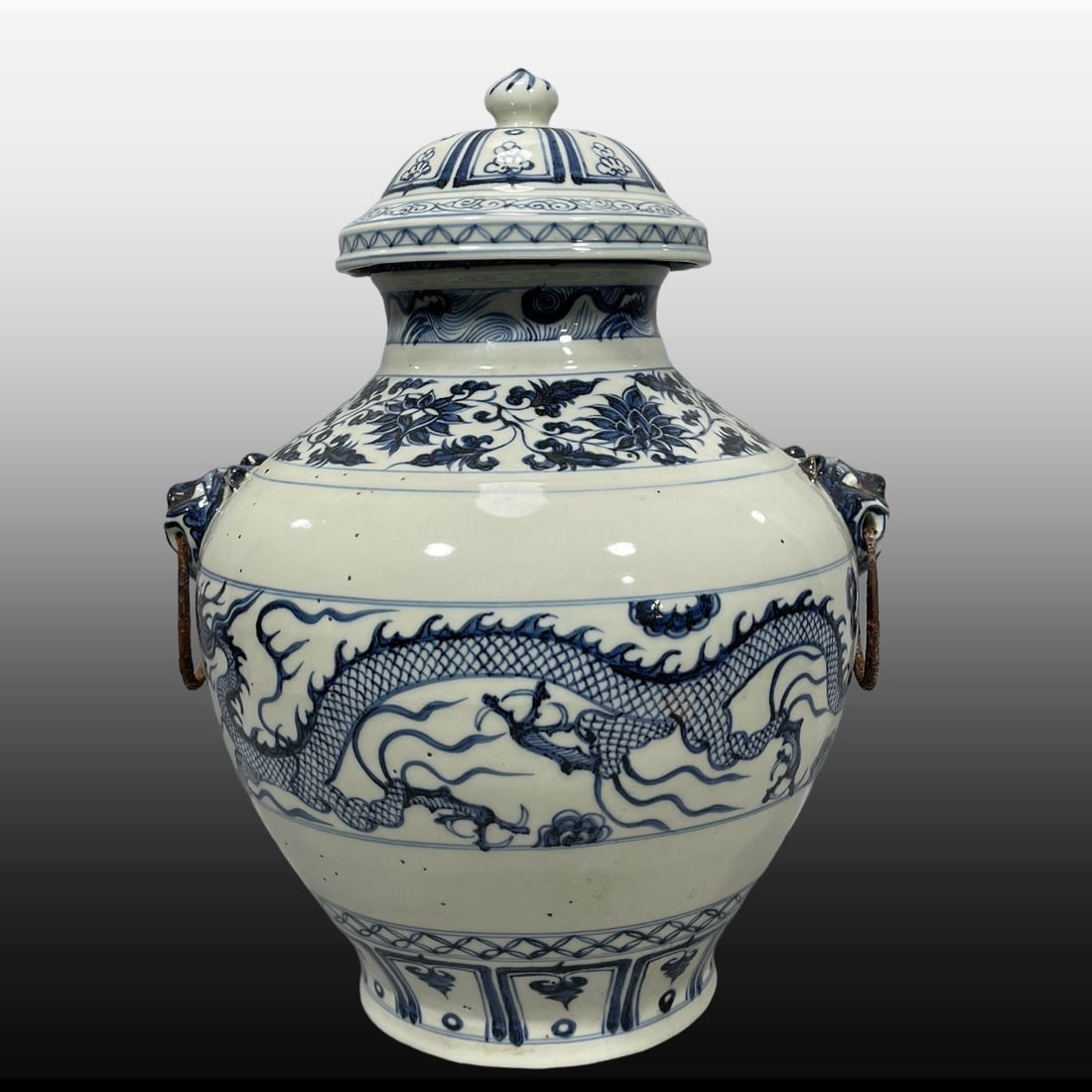 A Exquisite Blue and White Dragon Pattern Vase (1 of 9)