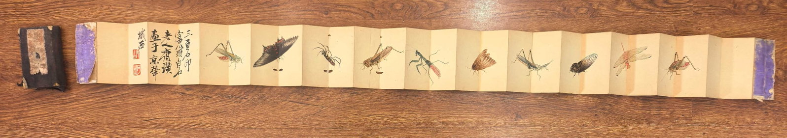 A Chinese Ink Insect Painting Album on Paper: A Chinese Ink Insect Painting Album on Paper,Modern Time of China,Qi Baishi,without frame size:50.4inx3.9in