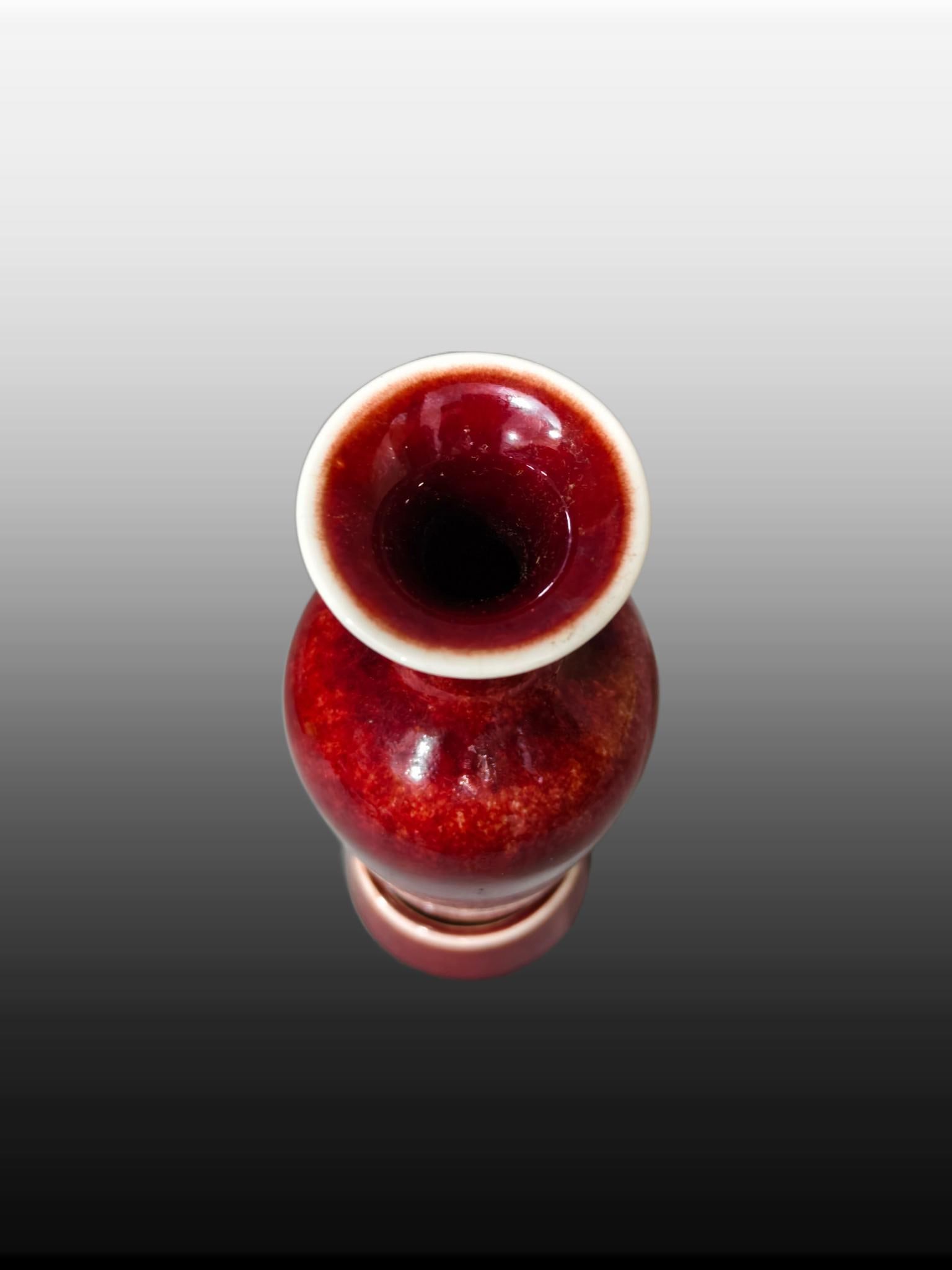 A Exquisite Lang Red Glazed Vase - 2