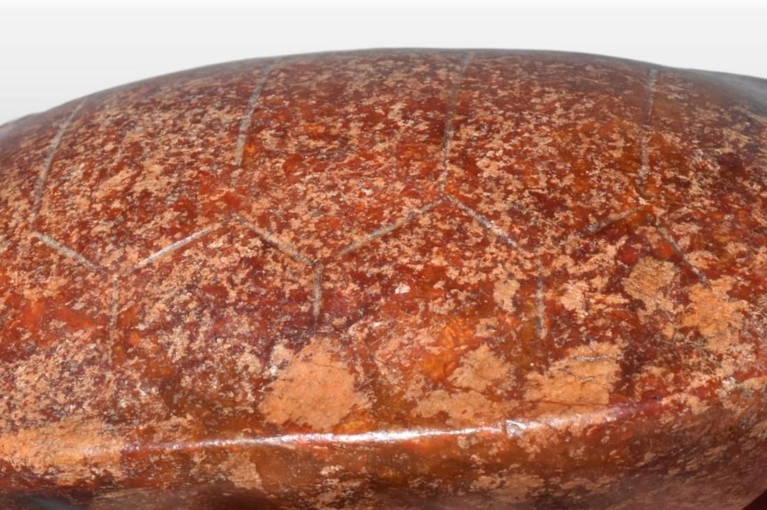 A Exquisite Gaogu Jade tortoise shell - 5