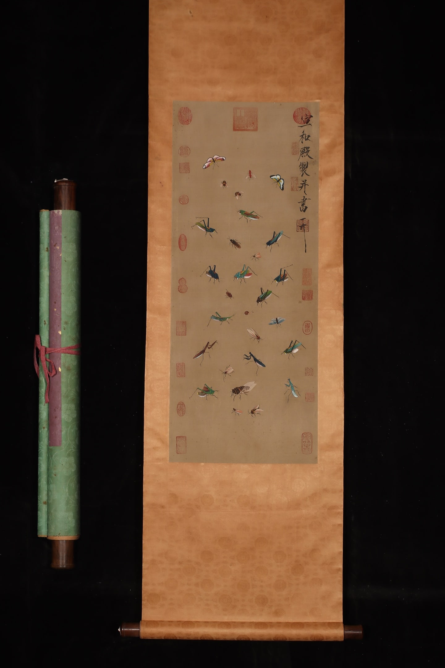 A Chinese Vertical Scroll Ink Painting of Grass and Insects on Silk (1 of 9)