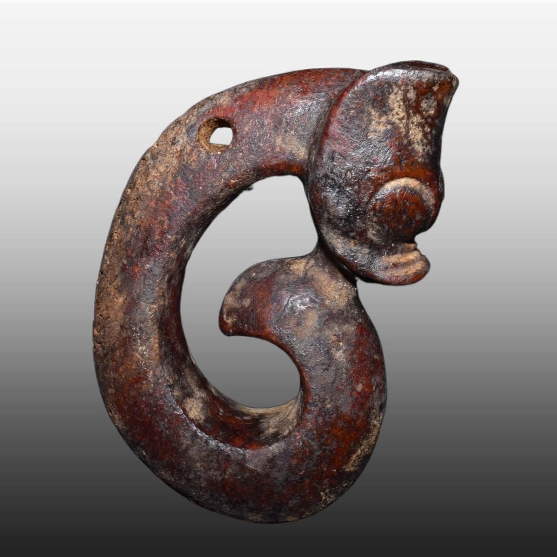 A Exquisite Gaogu Jade Pig Dragon: A Exquisite Gaogu Jade Pig Dragon,Ancient Time, China,Size:4.5inx6.1in,Weight:780g 高古玉猪龙,远古时期