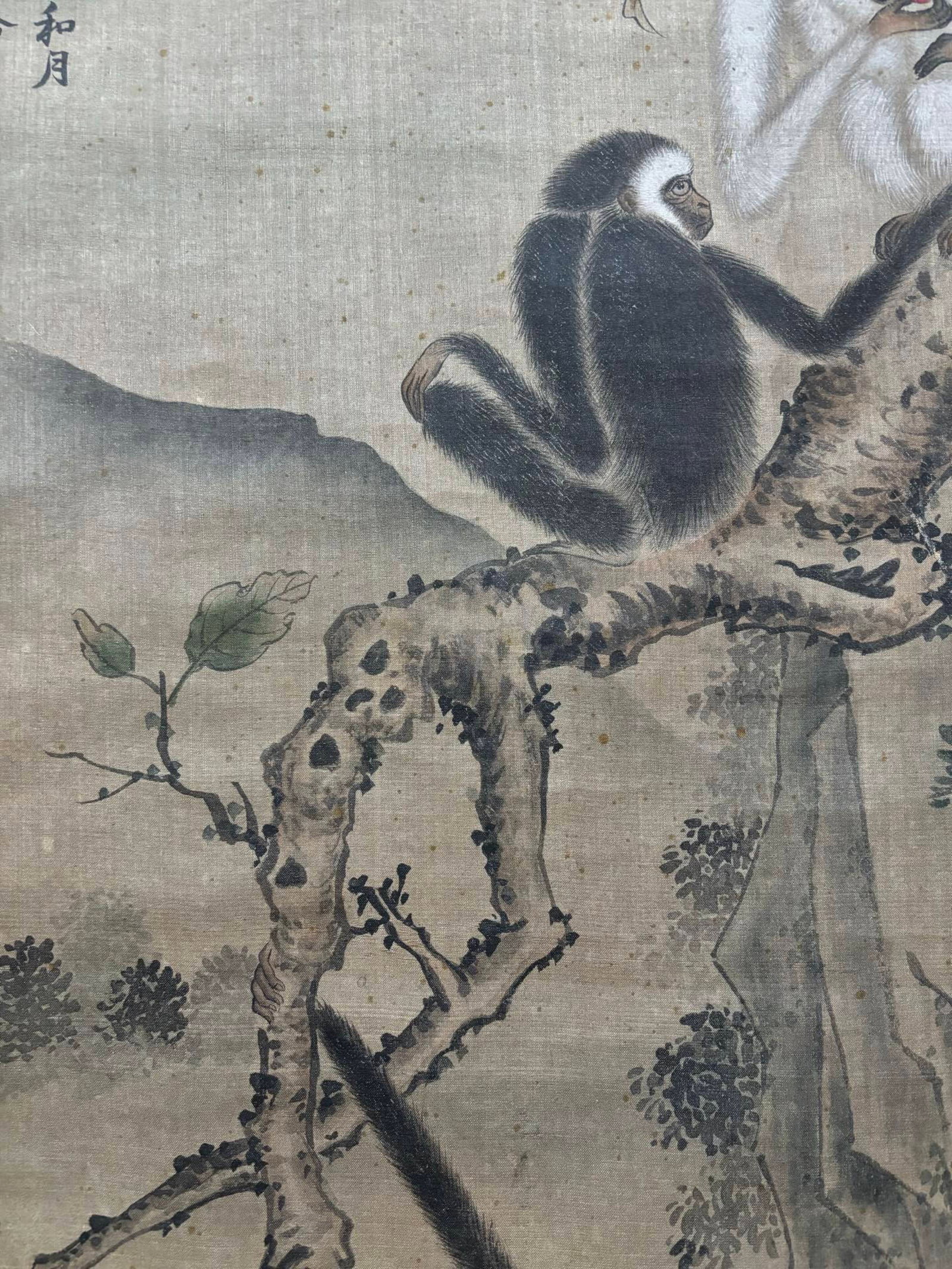 A Chinese Vertical Scroll Ink Painting of Monkey on Silk,Shen Quan - 4