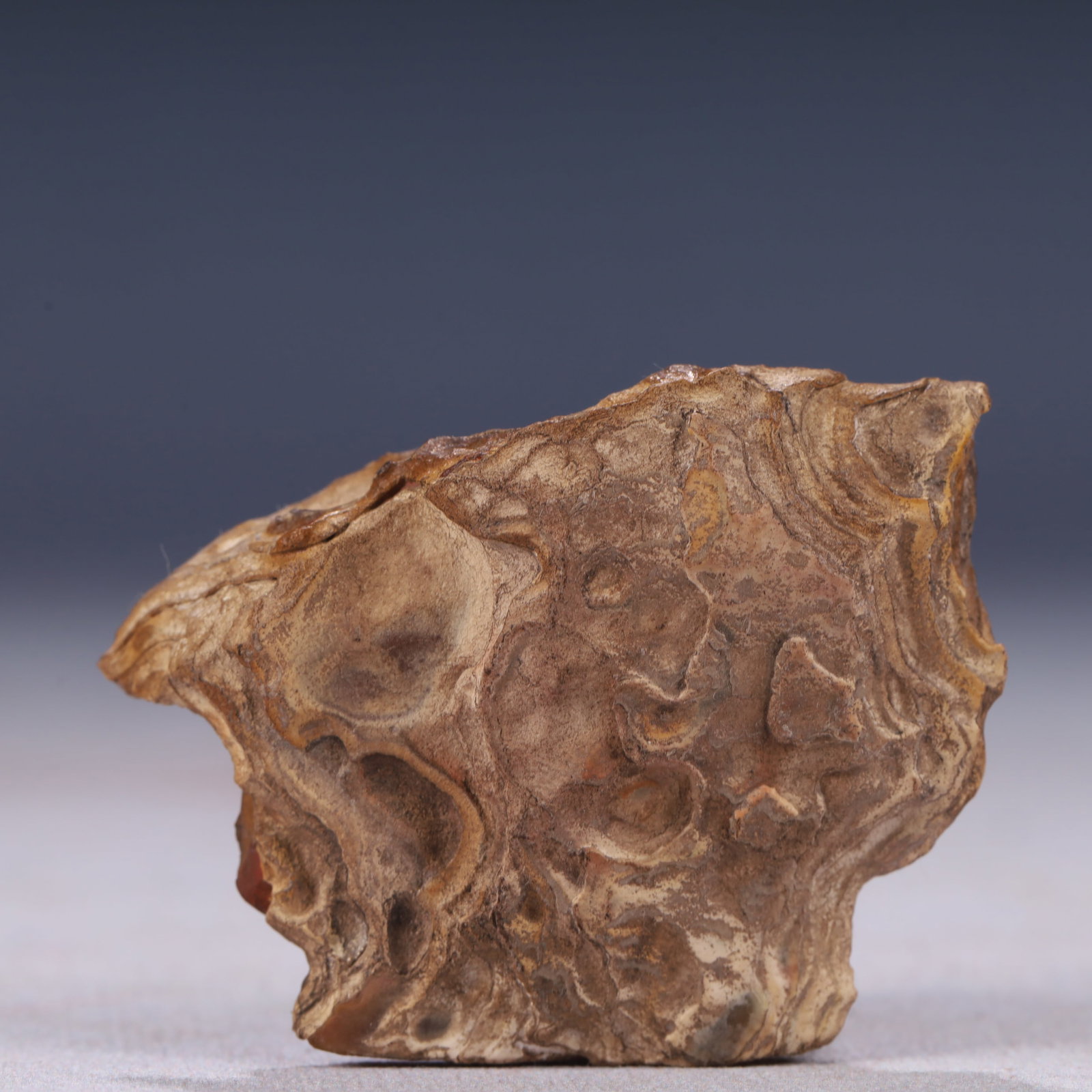 An Exquisite Stone Rockery Ornament,With Base - 9