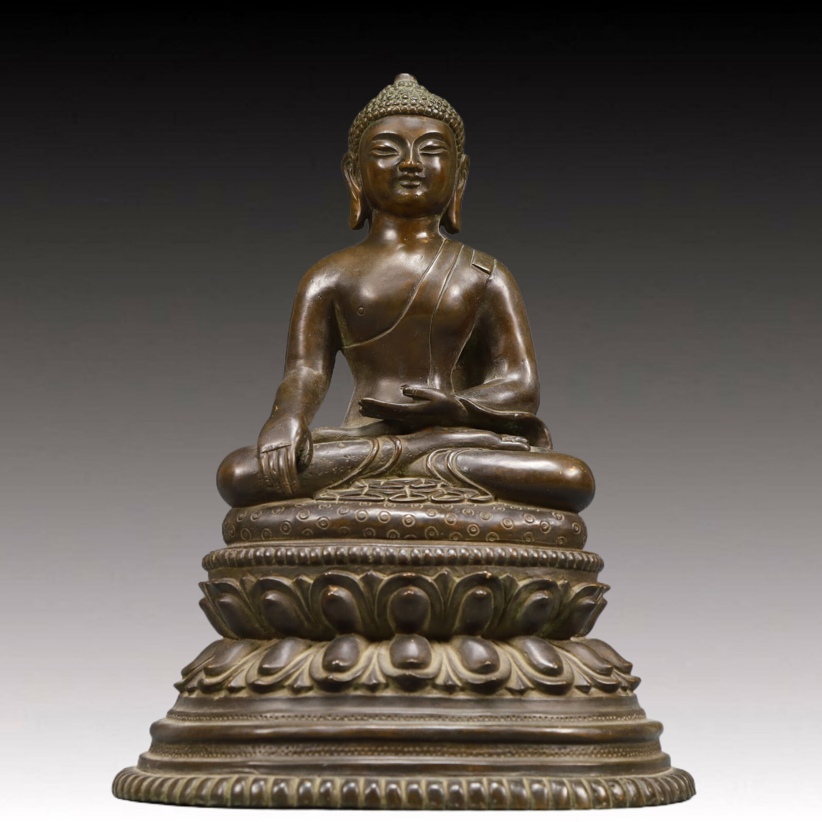 A Solemn Bronze Statue of Sakyamuni (1 of 9)