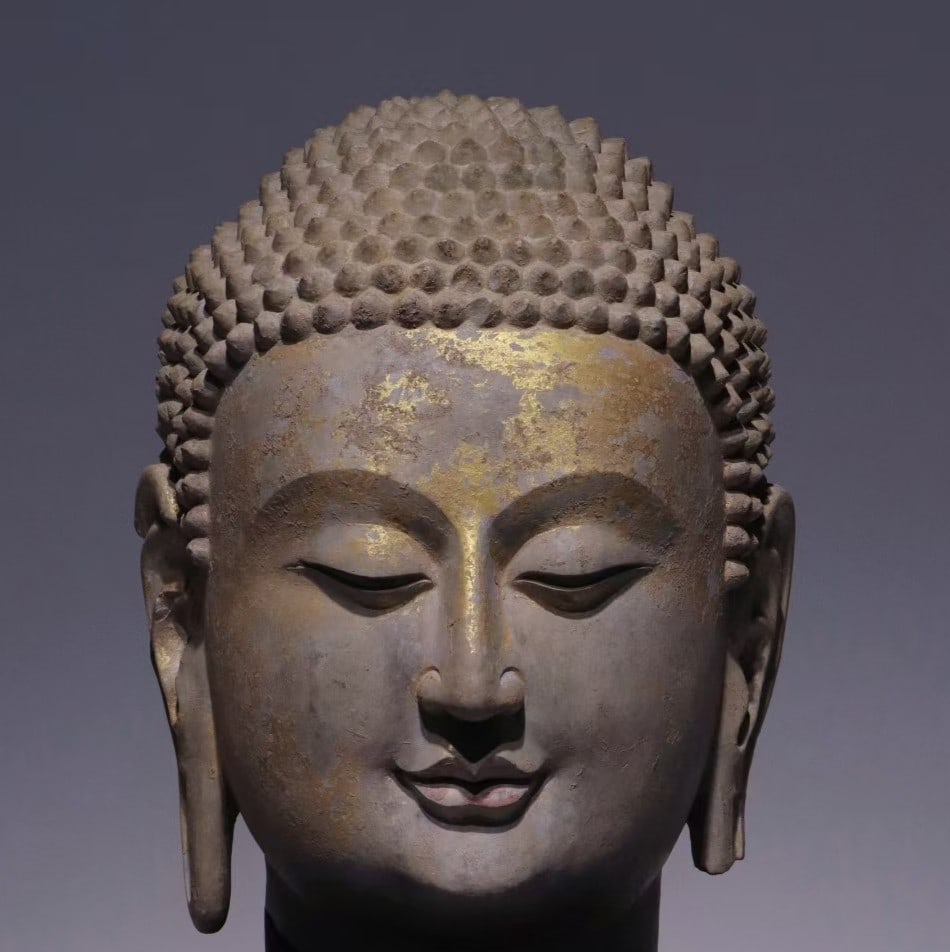 An Exquisite Limestone Statue of Sakyamuni Buddha head: An Exquisite Limestone Statue of Sakyamuni Buddha head N.Qi , China Size:11.4in青石贴金释迦牟尼佛首 中国北齐Size:29c