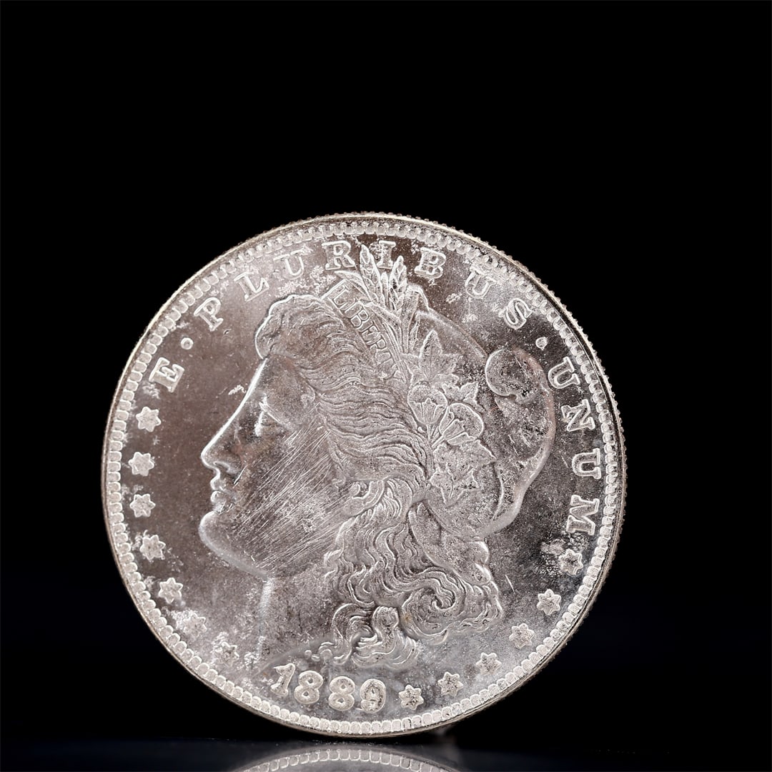 USA Morgan Dollar 1889 Coin: Obv: profile bust with date below and E PLURIBUS UNUM legend and stars around. Rev: eagle with In God we trust above within wreath with UNITED STATES OF AMERICA ONE DOLLAR legend. IN GOD WE TRUST / LI