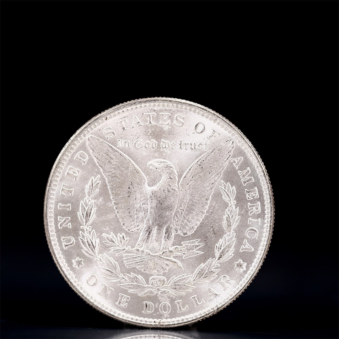 USA Morgan Dollar 1889 Coin - 2