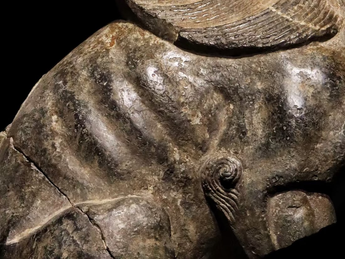 An Exquisite Limestone Lion Ornament - 5