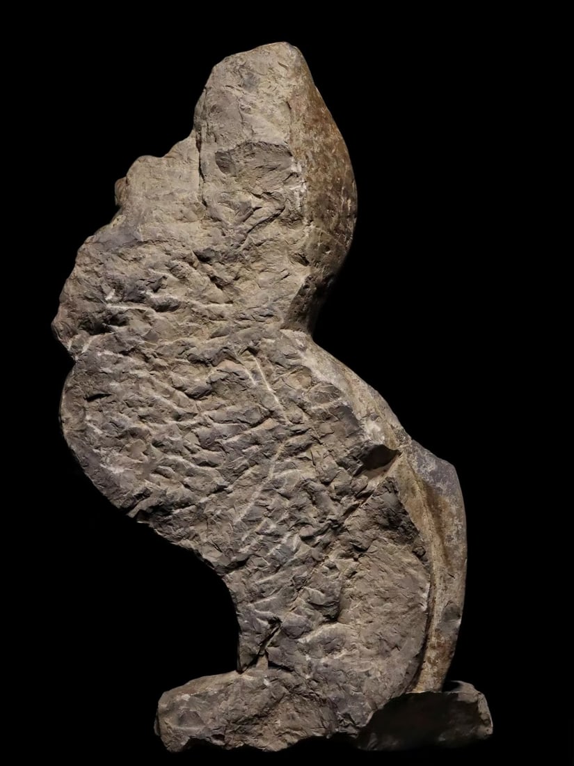 An Exquisite Limestone Lion Ornament - 6