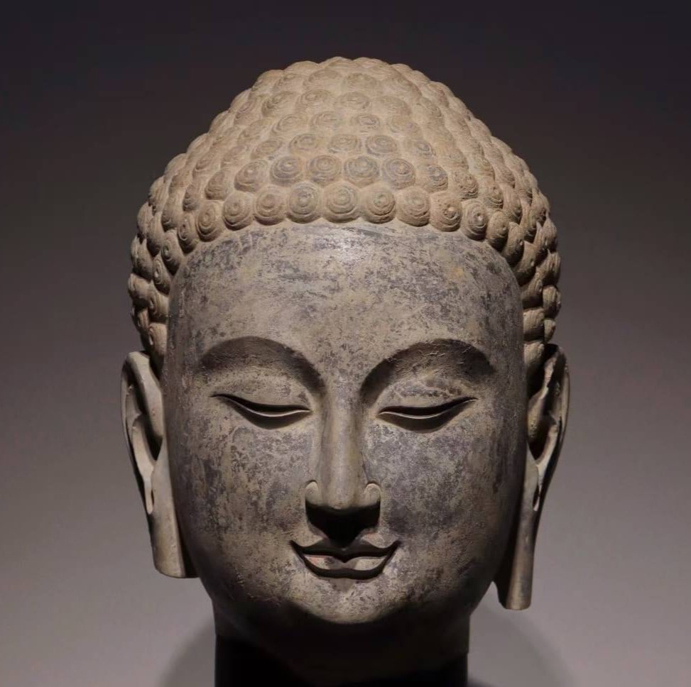 An Exquisite Limestone Statue of Sakyamuni Buddha head: An Exquisite Limestone Statue of Sakyamuni Buddha head N.Qi , China Size:12.6in青石释迦牟尼佛首 中国北齐Size:32cm