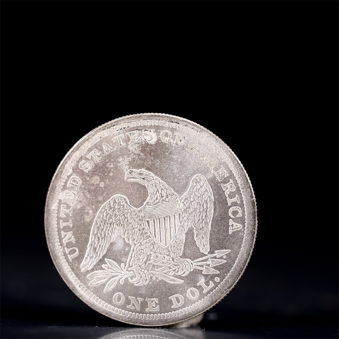 USA One Dollar 1865 Coin - 2