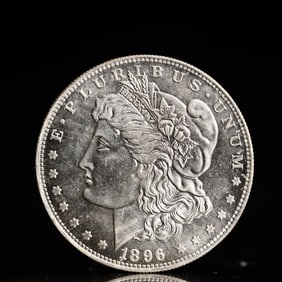 USA Morgan Dollar 1896 Coin