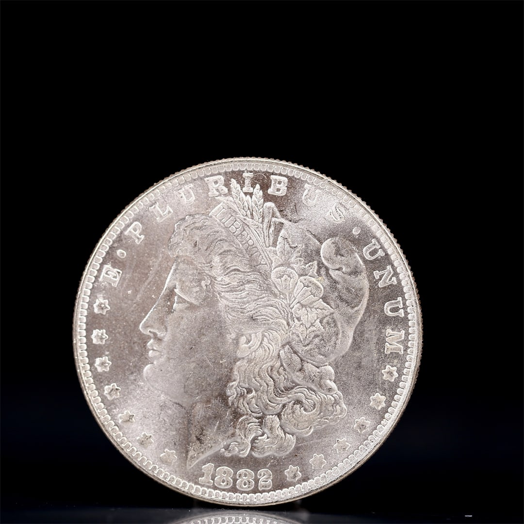 USA Morgan Dollar 1882 Coin: Obv: profile bust with date below and E PLURIBUS UNUM legend and stars around. Rev: eagle with In God we trust above within wreath with UNITED STATES OF AMERICA ONE DOLLAR legend. IN GOD WE TRUST / LI