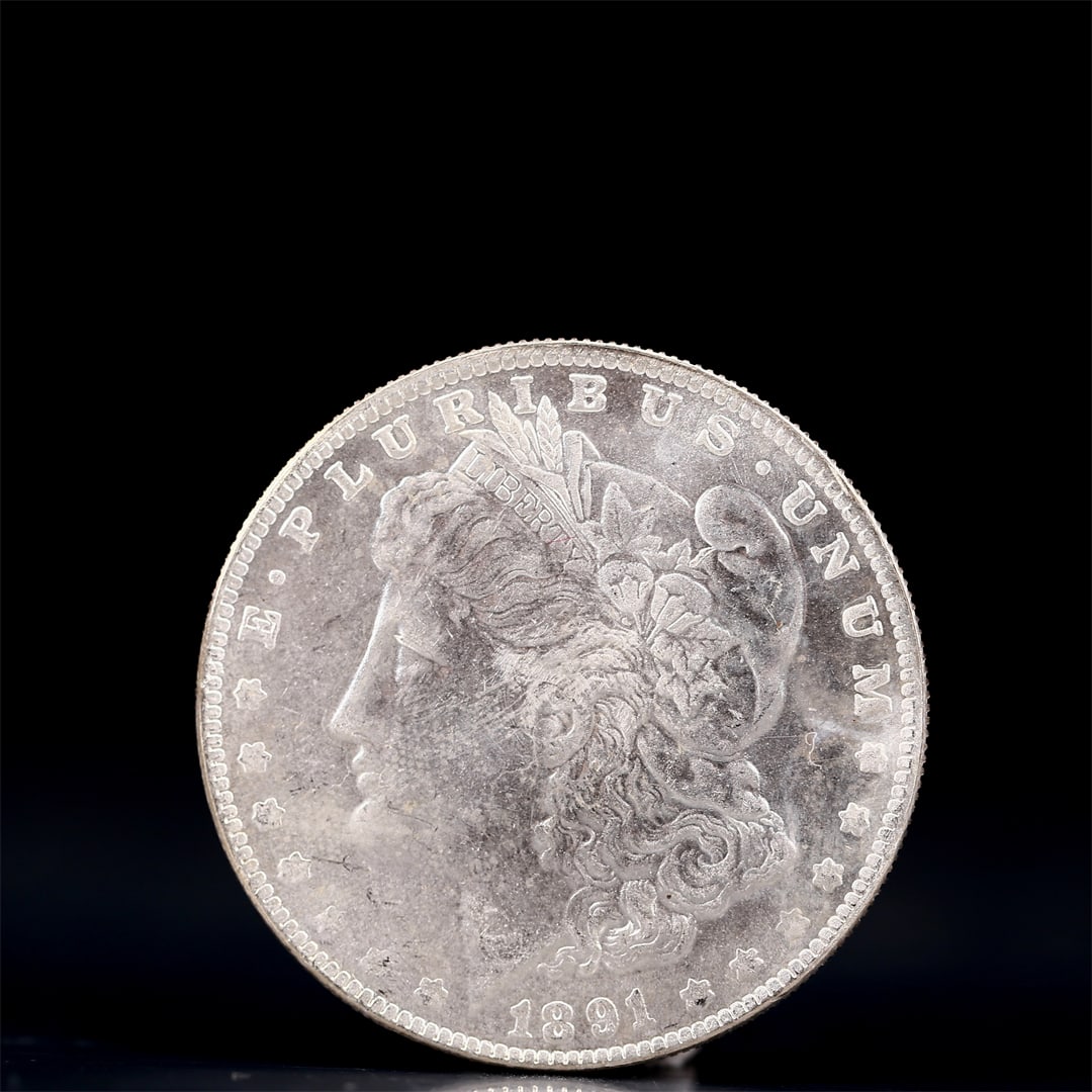 USA Morgan Dollar 1891 Coin: Obv: profile bust with date below and E PLURIBUS UNUM legend and stars around. Rev: eagle with In God we trust above within wreath with UNITED STATES OF AMERICA ONE DOLLAR legend. IN GOD WE TRUST / LI