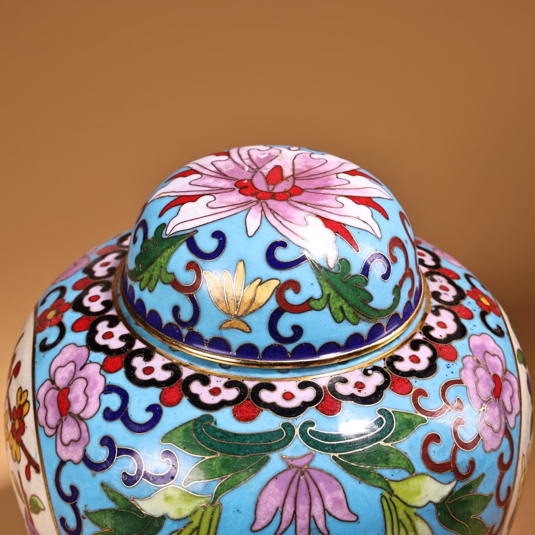An Exquisite Cloisonne Lotus Pattern Jar - 13