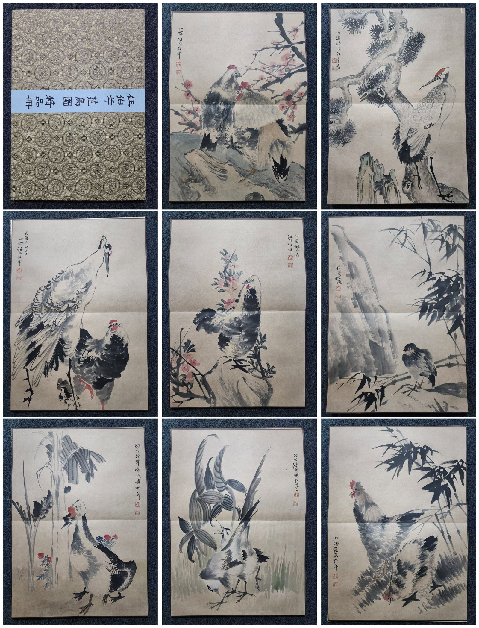 A Chinese Album Ink Painting of Flower and Bird on Paper,Ren Bonian: A Chinese Album Ink Painting of Flower and Bird on Paper,Ren Bonian,Size:(Entirety)19.5inx13.8in 一本中国水墨花鸟画画册,任߫