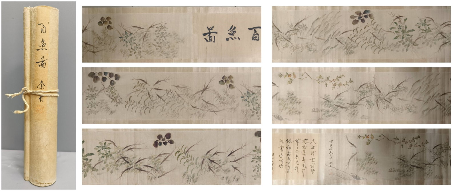 A Chinese Hand Scroll Ink Painting of Fish on Paper: A Chinese Hand Scroll Ink Painting of Fish on Paper,Yu Xing,Size:118.1inx13.4in 一幅中国水墨鱼画手卷,余省