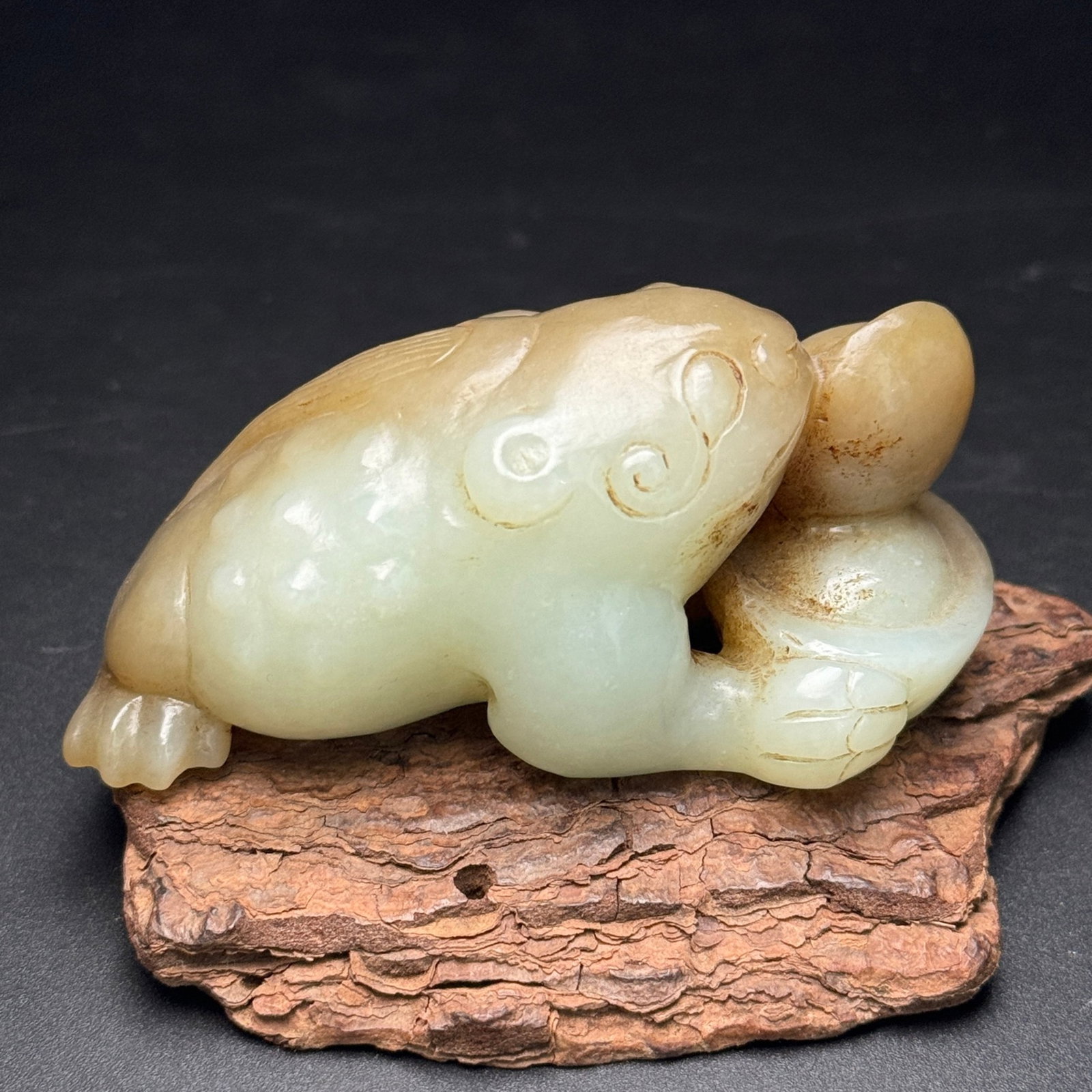 An Exquisite White Jade Golden Toad Ornament: An Exquisite White Jade Golden Toad Ornament,Qing Dynasty,China,Size:3.2inx1.5inx1.6in,Weight:161g 白玉金蟾摆件,中国清代