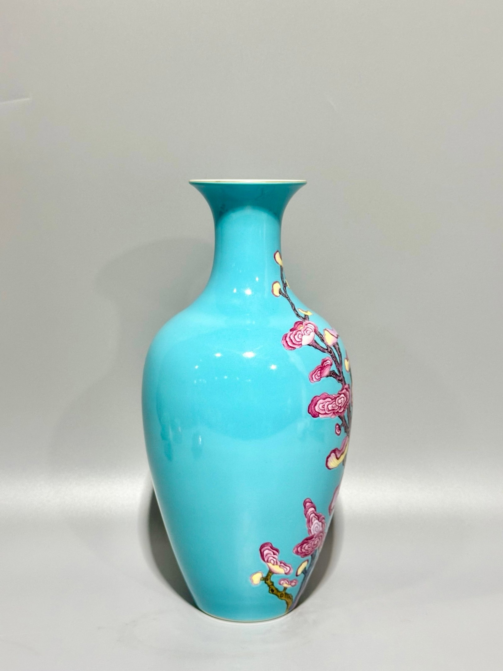 A Rare Turquoise Glazed Ganoderma lucidum Pattern Vase - 3