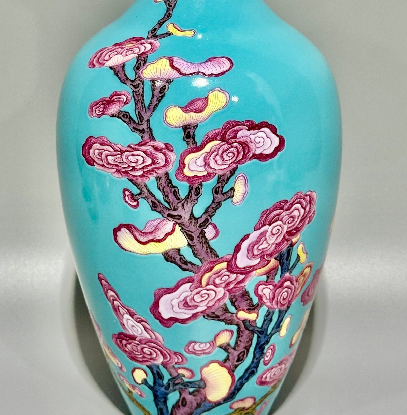 A Rare Turquoise Glazed Ganoderma lucidum Pattern Vase - 4