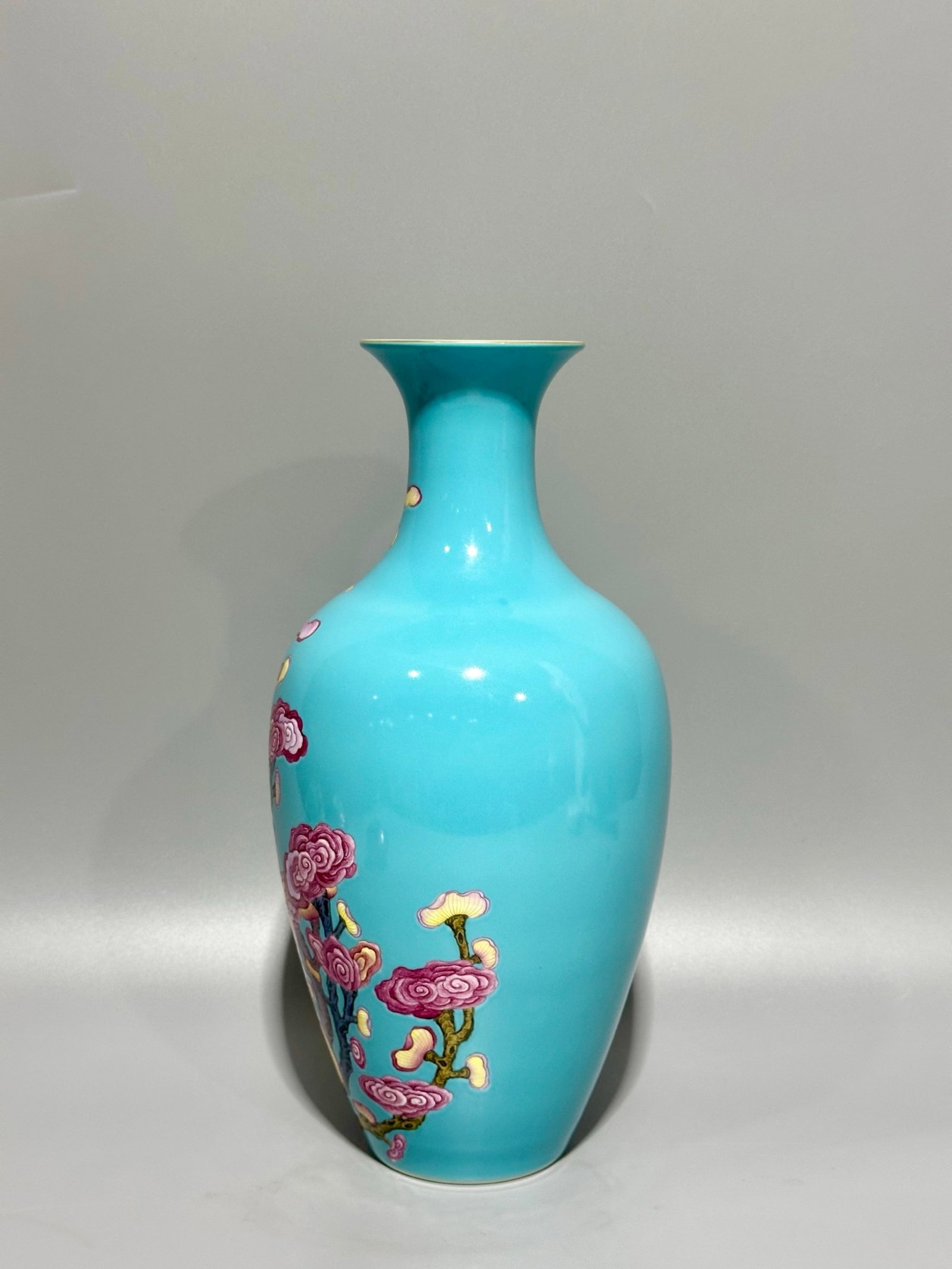 A Rare Turquoise Glazed Ganoderma lucidum Pattern Vase - 5