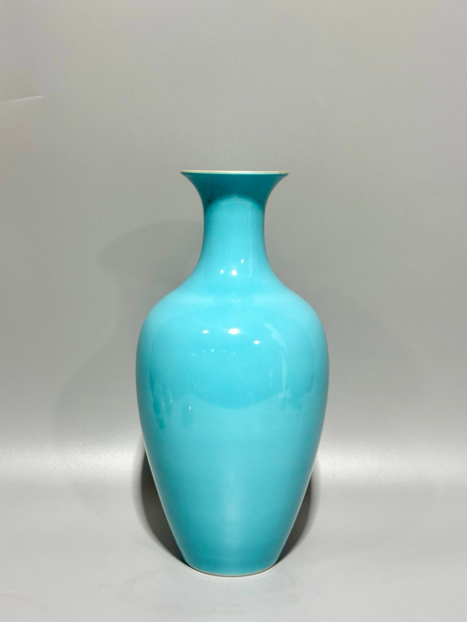 A Rare Turquoise Glazed Ganoderma lucidum Pattern Vase - 7