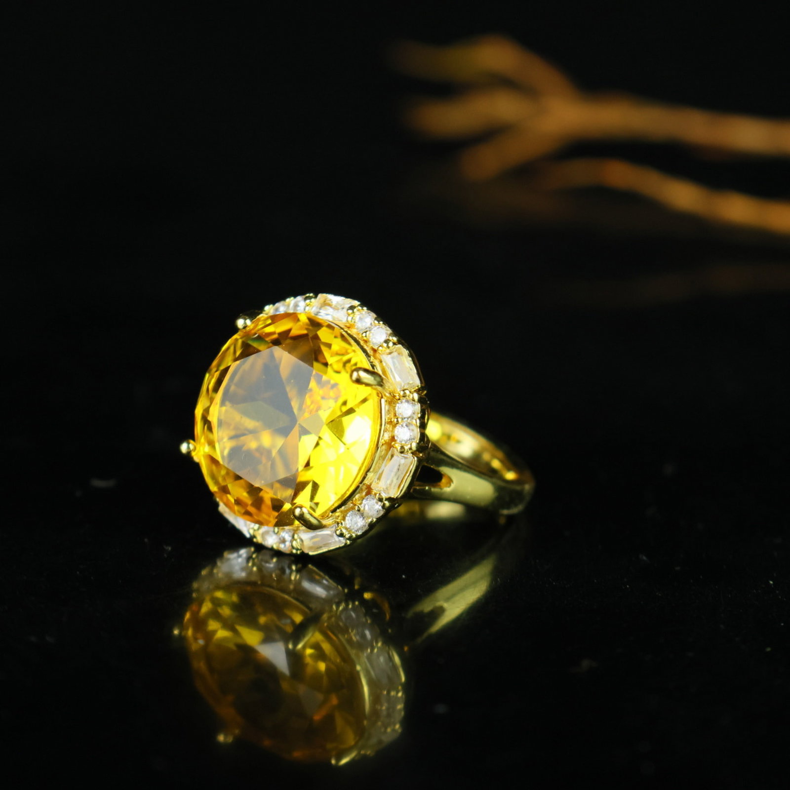 An Exquisite Ring - 3