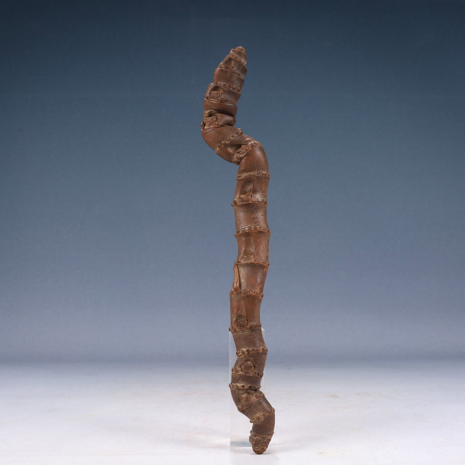 A Rare Root Ornament (1 of 9)