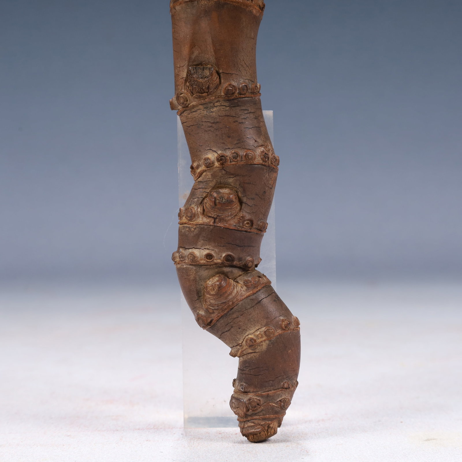 A Rare Root Ornament - 5