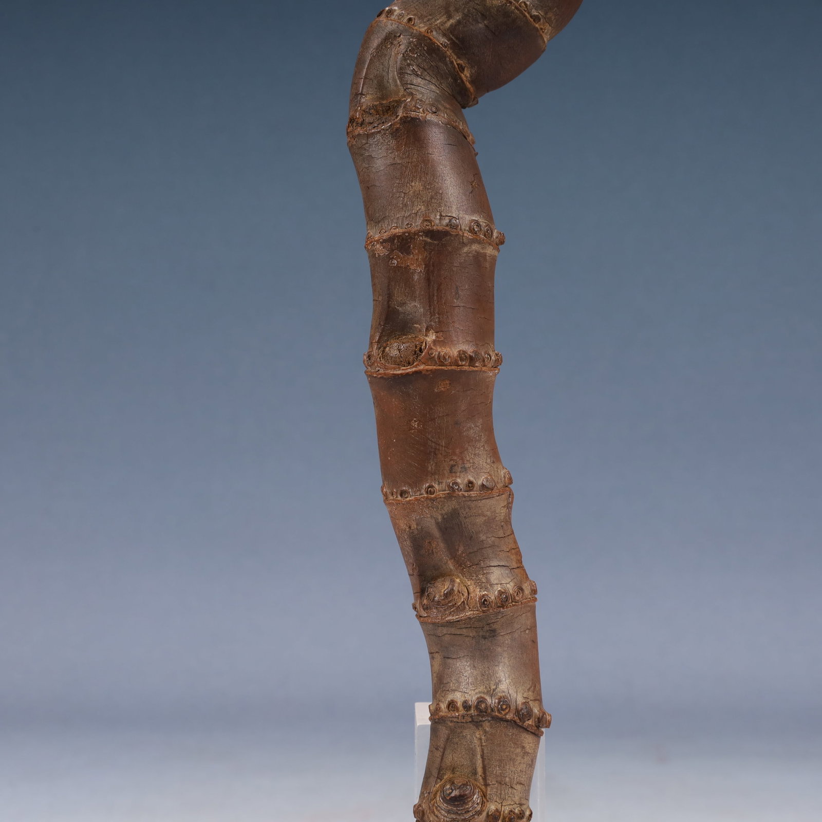 A Rare Root Ornament - 8