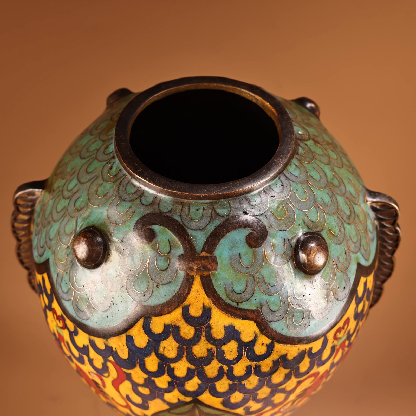 An Exquisite Cloisonne Fish Pattern Vase,With Base - 4