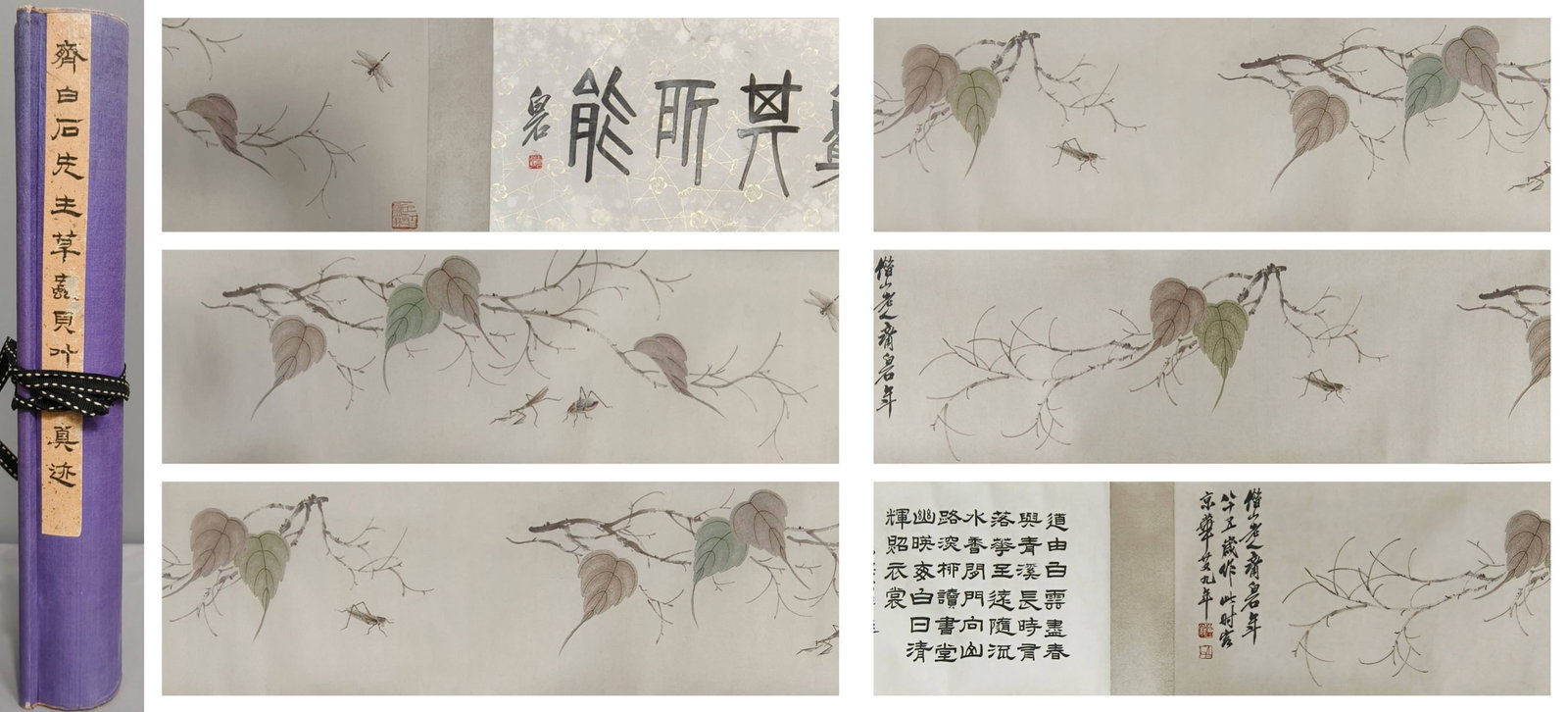 A Chinese Hand Scroll Ink Painting of Insect on Paper,: A Chinese Hand Scroll Ink Painting of Insect on Paper,Size:47.2inx12.6in.中国水墨昆虫画手卷,齐白石,