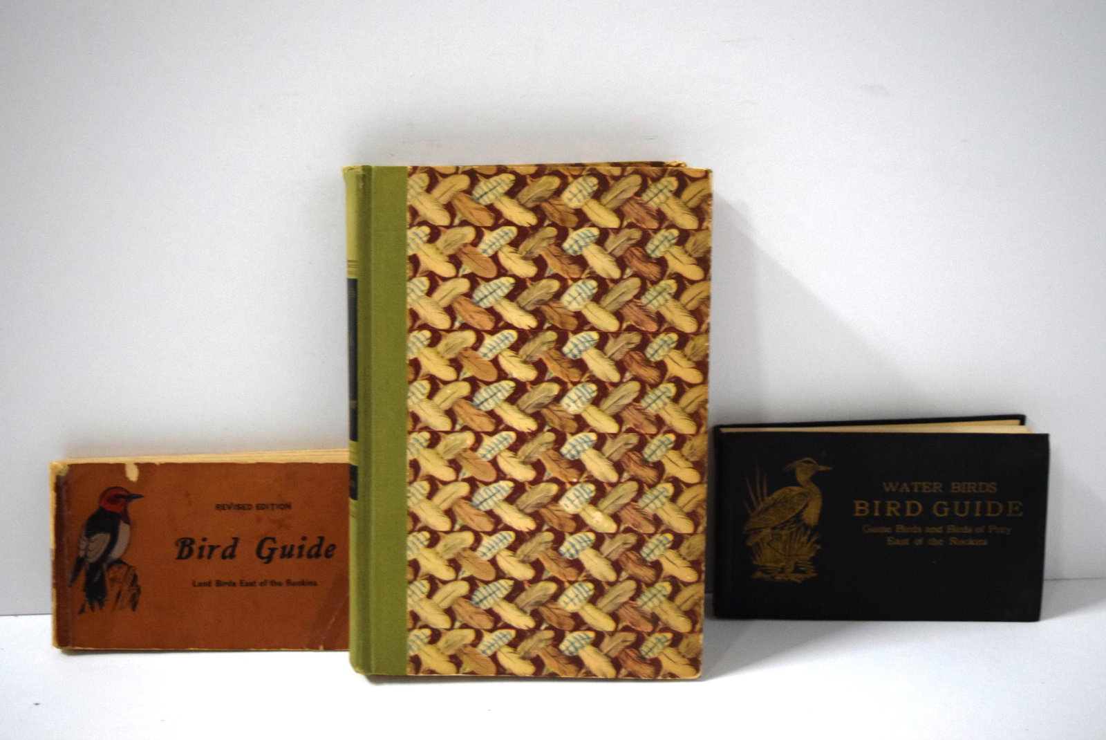 Three Ornithology texts: Bird Guides (Land Birds East: Three Ornithology texts: Bird Guides (Land Birds East of the Rockies) pt. 2 by Chester Reed 1912, Water Birds Bird Guide Game Birds & Birds of Prey East of the Rockies Doubleday, Doran & Co. 1930, Aud