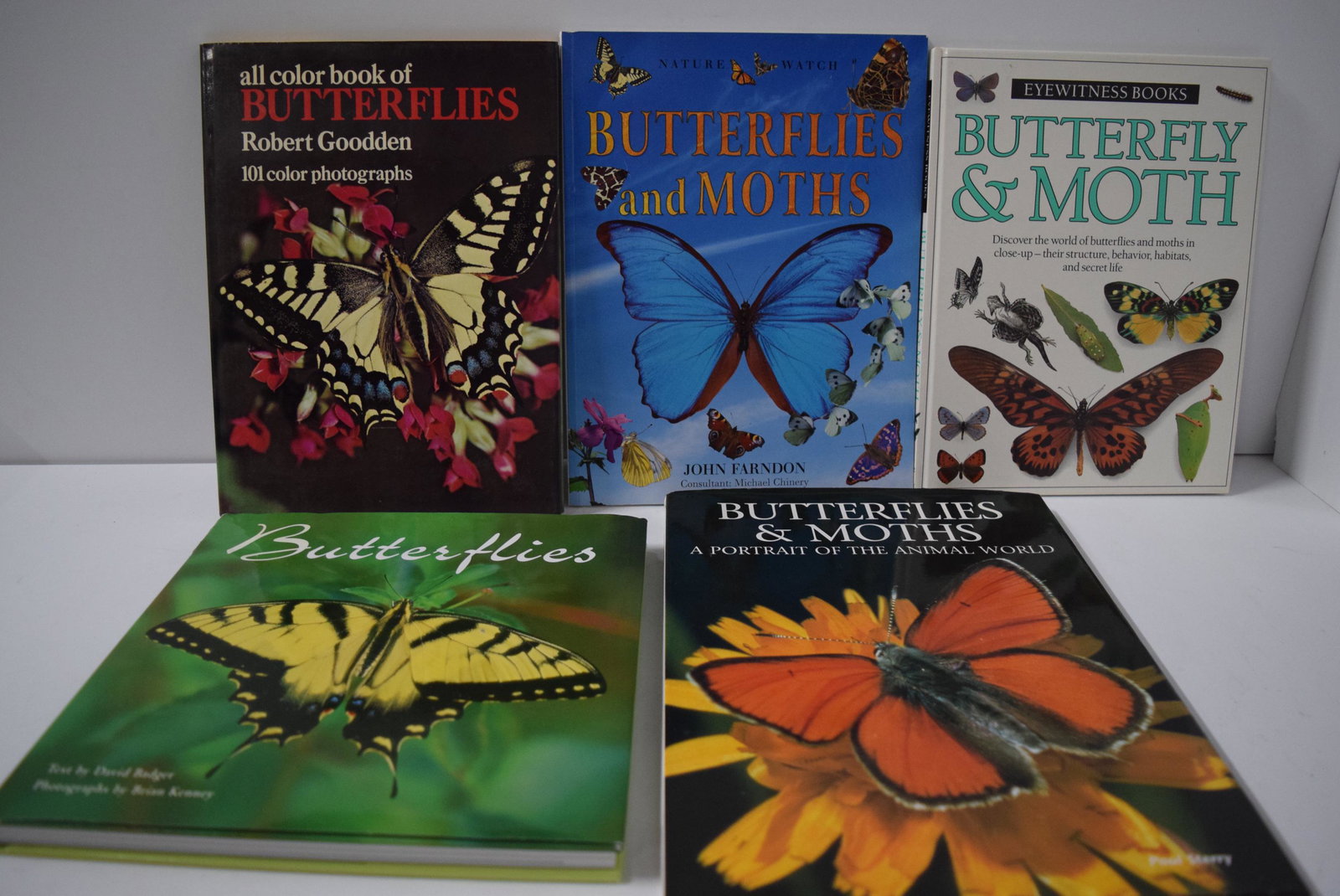 Five Butterfly texts: Butterflies by David Badger &: Five Butterfly texts: Butterflies by David Badger & Brian Kenney, Eyewitness Books Butterfly & Moth, Butterflies & Moths by John Farndon, All Color book of Butterflies by Robert Goodden, & Butterflies