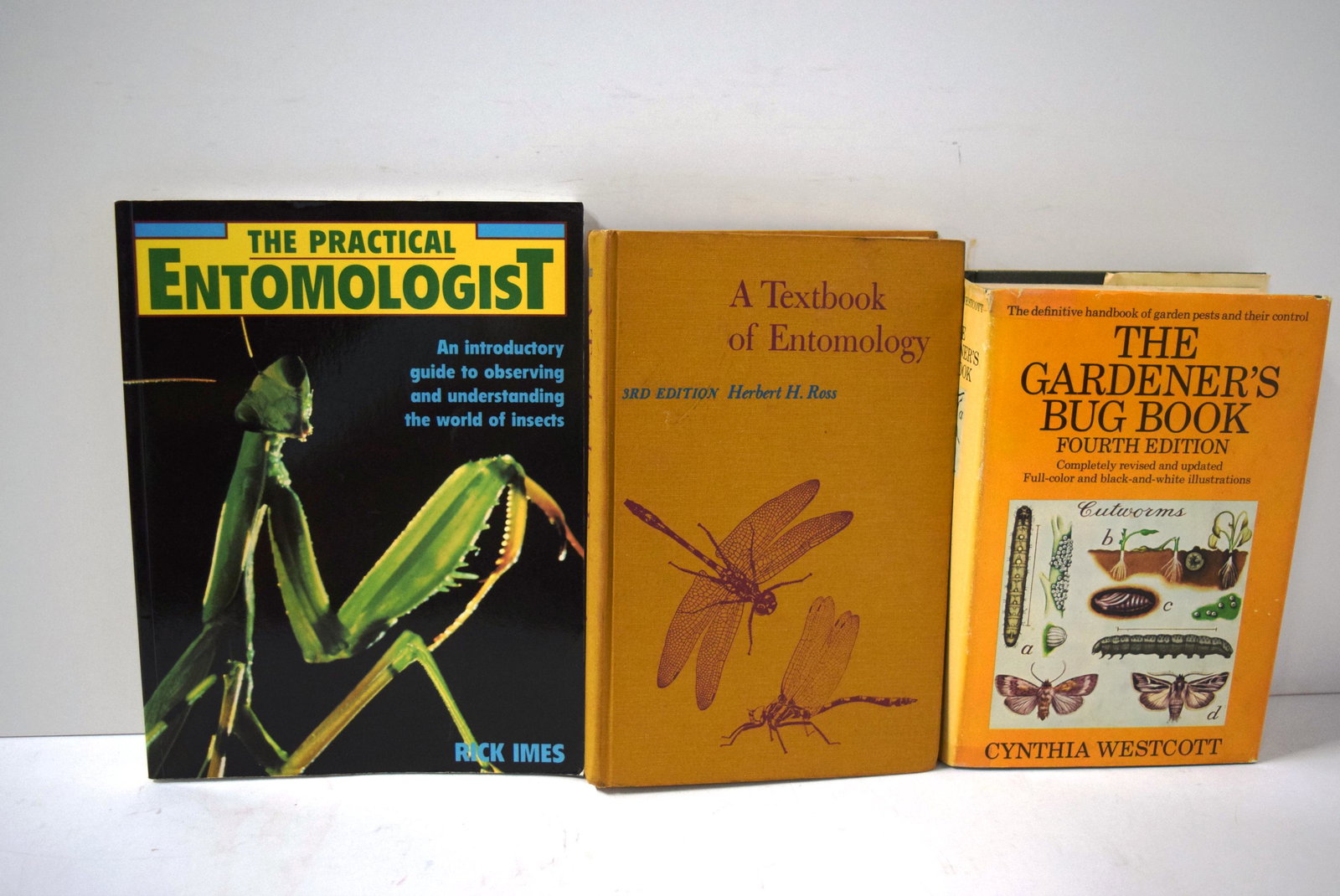 The Practical Entomologist by Rick Imes 1992, A: The Practical Entomologist by Rick Imes 1992, A Textbook of Entomology by Herbert H. Ross 3rd edition 1965 & The Gardener's Bug Book 4th edition by Cynthia Westcott 1973