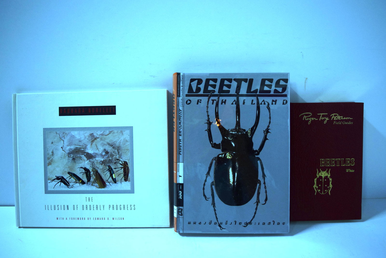 Roger Tory Person Field Guides Beetles of North America: Roger Tory Person Field Guides Beetles of North America 1963, Beetles of Thailand, The Illusion of Orderly Progress by Barbara Norfleet