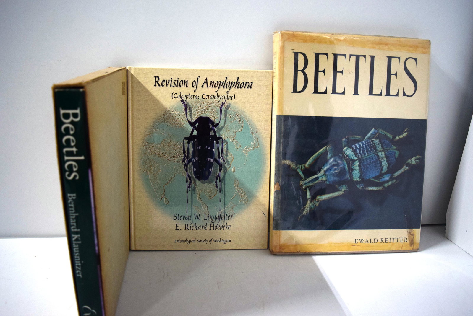 Beetles by Ewald Reitter, Revision of Anoplophora by: Beetles by Ewald Reitter, Revision of Anoplophora by Steven W. Lingafelter & E. Richard Hoebeke, & Beetles by Bernhard Klausnitzer