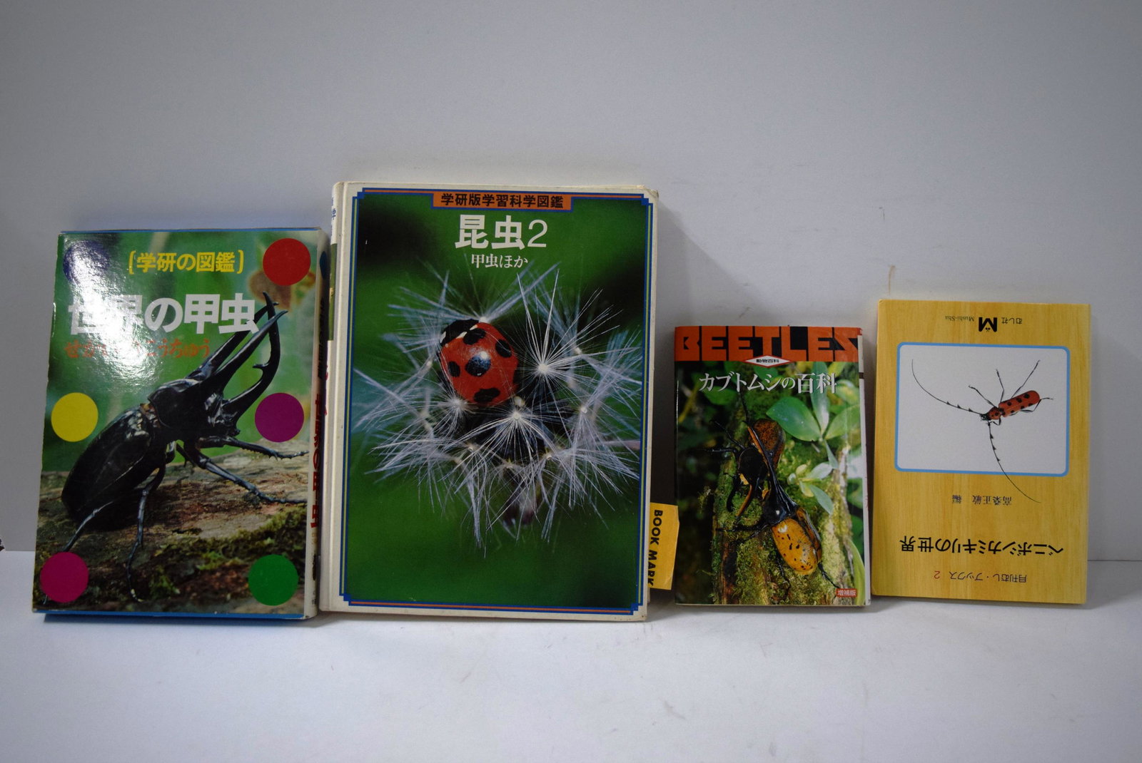 4 Japanese Beetle entomology texts: 4 Japanese Beetle entomology texts