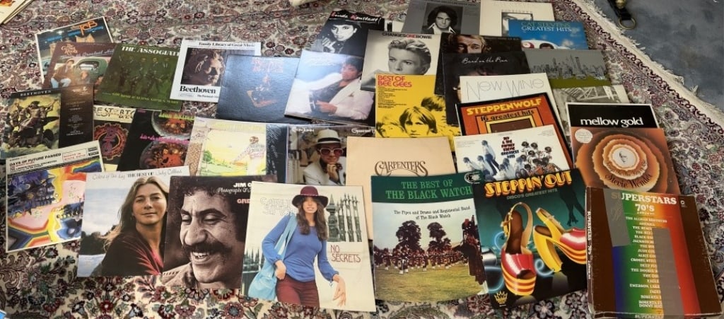 RECORDS: NIEL DIAMOND, NEW WINE, STEPPIN OUT, THE BEST OF THE BLACK WATCH, BEST OF BEE GEES, STEPPEN WOLF, MORE