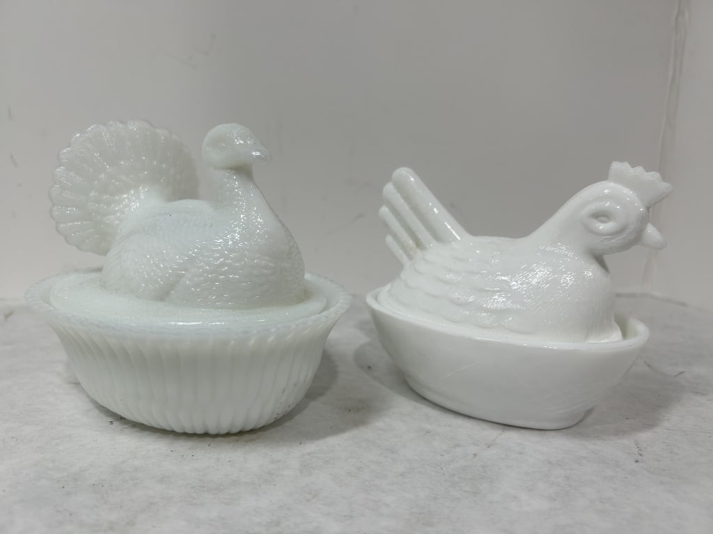 WHITE DEGENHART TURKEY ON NEST AND FOREIGN HEN (1 of 7)