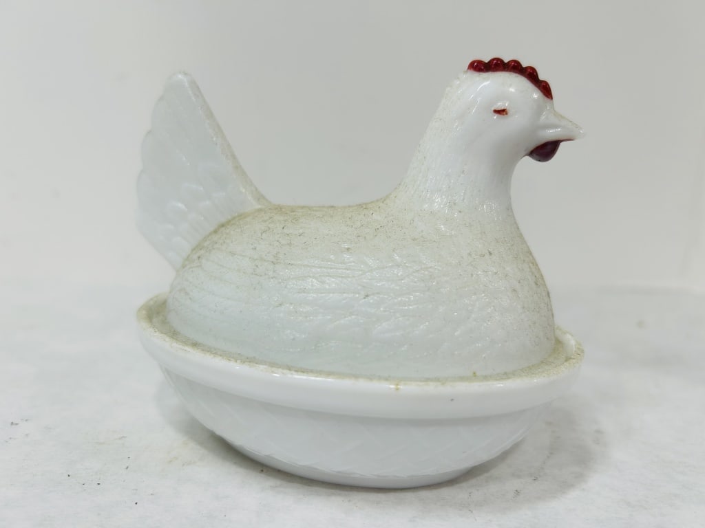 WHITE HEN ON NEST (1 of 6)