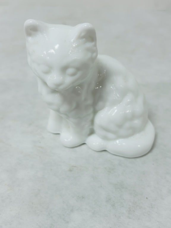 MOSSER WHITE CAT (1 of 4)